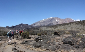 7days Mount Kilimanjaro Climbing through Rongai Route