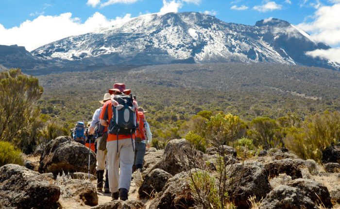 Climb Mount Kilimanjaro Lemosho Route Prices